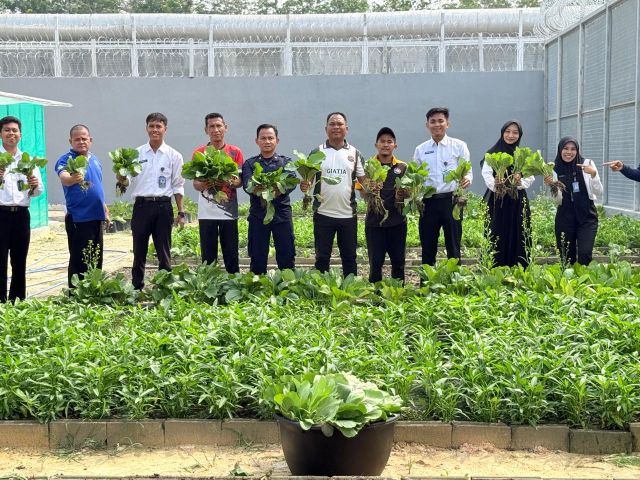 Produktif WBP Lapas Bagansiapiapi Panen Sawi Hingga Melon, Hasilnya Laris Di Jual Ke Luar